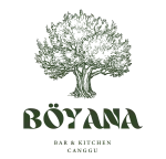 Boyana Group company logo