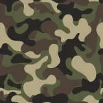 Camouflage company logo