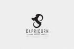 Capricorn Design company logo