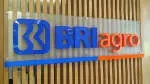 PT Strategi Digital Agro company icon