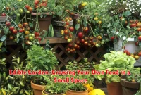 Edible Garden: Growing Your Own Food in a Small Space