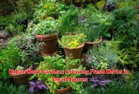 Urban Herb Garden: Growing Fresh Herbs in Small Spaces