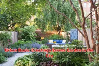 Urban Oasis: Creating a Serene Garden in the City